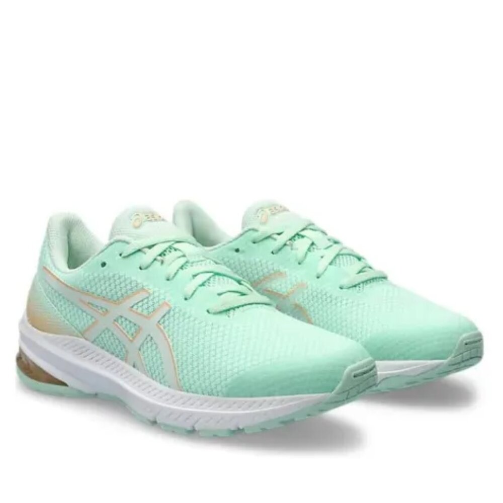 ASICS GT-1000 12 Grade School Unisex Shoes